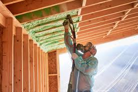 Tavares, FL Insulation Removal & Installation Company